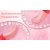 SuperLove Naughty Tongue Teaser Licking Vibrator
