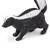 Safari Črtasti skunk