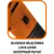 Energy+ 18V, Li-lon, 3/8 akumulatorska vrtavka, 1/2 adapter brez baterije 04-603