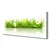 tulup.si Slika na platnu Grass nature rastlin 125x50 cm