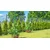 KADAX Vrtna pergola za rastline in rože, kovinski drog, 120 cm, zelena