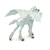 Safari Pegasus mladič