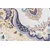 Chemex Preproga Victoria Exclusive Solid Fashionable 42420 Print Rjava