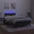 Greatstore Box spring postelja z vzmetnico LED črna 120x200 cm žamet