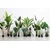WOOOD umetna rastlina STRELITZIA - 108 cm