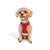 Paws & Whiskers Am za pse Air-Mesh, Crveni