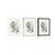 Plakat minimalistične rastline v boho stilu - 20x30 white