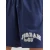 Jordan Hlače MVP FLC marine/siva/bela
