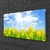 tulup.si Slika na platnu Narcise travnik grass nature 100x50 cm