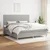 vidaXL Box spring postelja z vzmetnico svetlo siva 200x200 cm blago