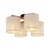 Stropna svetilka Deva Nature 6866 TK Lighting