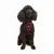 Paws & Whiskers Am za pse Air-Mesh, Bordo
