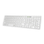 GENIUS Genius Slimstar 126 USB bela tipkovnica, (20590866)