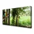 tulup.si Slika na platnu Parrot tree narava 120x60 cm