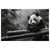 Slika panda počiva na bambusu - 40x30