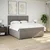 Vidaxl Box spring postelja z vzmetnico taupe 180x200 cm blago