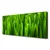 tulup.si Slika na platnu Grass nature rastlin 125x50 cm
