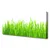 tulup.si Slika na platnu Grass nature rastlin 120x60 cm