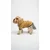 Paws & Whiskers Odelo za pse Teddy, Krem