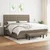 Vidaxl Box spring postelja z vzmetnico taupe 200x200 cm blago
