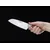 Kuhinjski nož Forge Wood Santoku