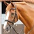 Premier Equine uzda Delizioso