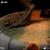 Jurassic Park T-Rex MiniCo zbirateljska figura 15cm