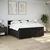 Vidaxl Box spring postelja z vzmetnico črn 200x200 cm blago