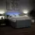 vidaXL Box spring posteljni z vzmetnico temno siv 140x190 cm blago