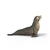 Schleich Tjulnja