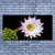 tulup.si Slika na platnu Flower na wall 140x70 cm