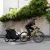 Thule priklolica/kolica Chariot Sport2 G3 N. Gold
