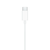 Apple Apple EarPods (USB-C) slušalke, žična, in-ear, za klice in glasbo, bela, s prozornim in linijskim mikrofonom.