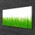 tulup.si Slika na platnu Grass nature rastlin 100x50 cm