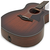 TAYLOR 324ce V-CLASS