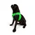 Paws & Whiskers Am za pse Air-Mesh, Zeleni