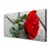 tulup.si Slika na platnu Vrtnice cvetje 125x50 cm