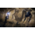 PS4 Elden Ring Nightreign