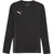 Puma Dres z dolgimi rokavi teamGOAL Jersey LS M