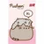 shumee Darilni set Pusheen Mint 4877