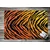 tulup.si Predpražnik notranji Tiger Stripes 60x40 cm