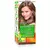 Garnier Color Naturals Boja za kosu 7.1