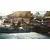 XBOX ONE Far Cry 6