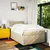 Vidaxl Box spring postelja z vzmetnico krem 120x190 cm blago