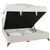 Box Krevet Magic 160/200 cm , bež