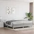 vidaXL Box spring postelja z vzmetnico svetlo siva 200x200 cm blago