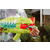 NERF DinoSquad Armorstrike
