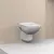 Duru konzolna WC šolja
