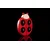Bajo Ladybug ugriz rdeča