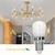 LED sijalica za frižider T22 E14/2W/230V 3000K - Aigostar